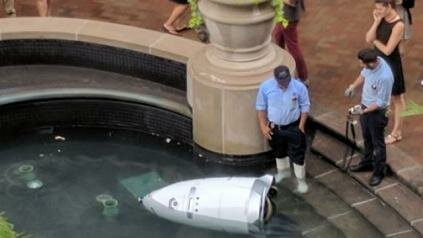 Высокотехнологичный робот-охранник утонул в фонтане