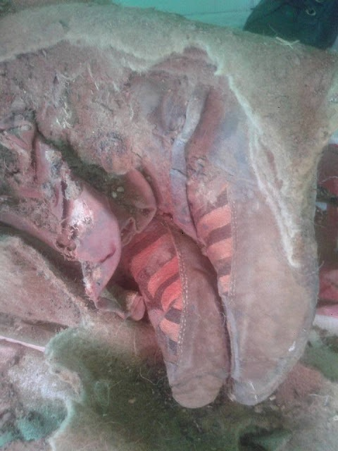 На Алтае нашли 1500-летнюю мумию в кроссовках «Адидас», есть фото